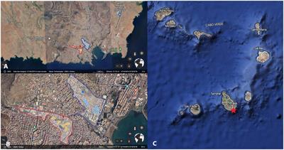 Insecticide paints: a new community strategy for controlling dengue and zika mosquito vectors in Cabo Verde